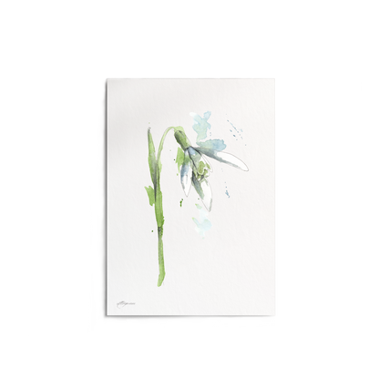 "Snowdrop" Print