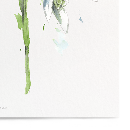 Framed artwork of a green plant with blue flowers on a white background
