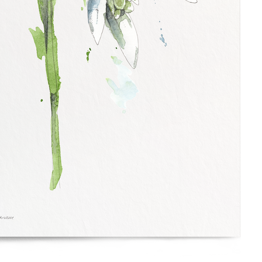 Framed artwork of a green plant with blue flowers on a white background