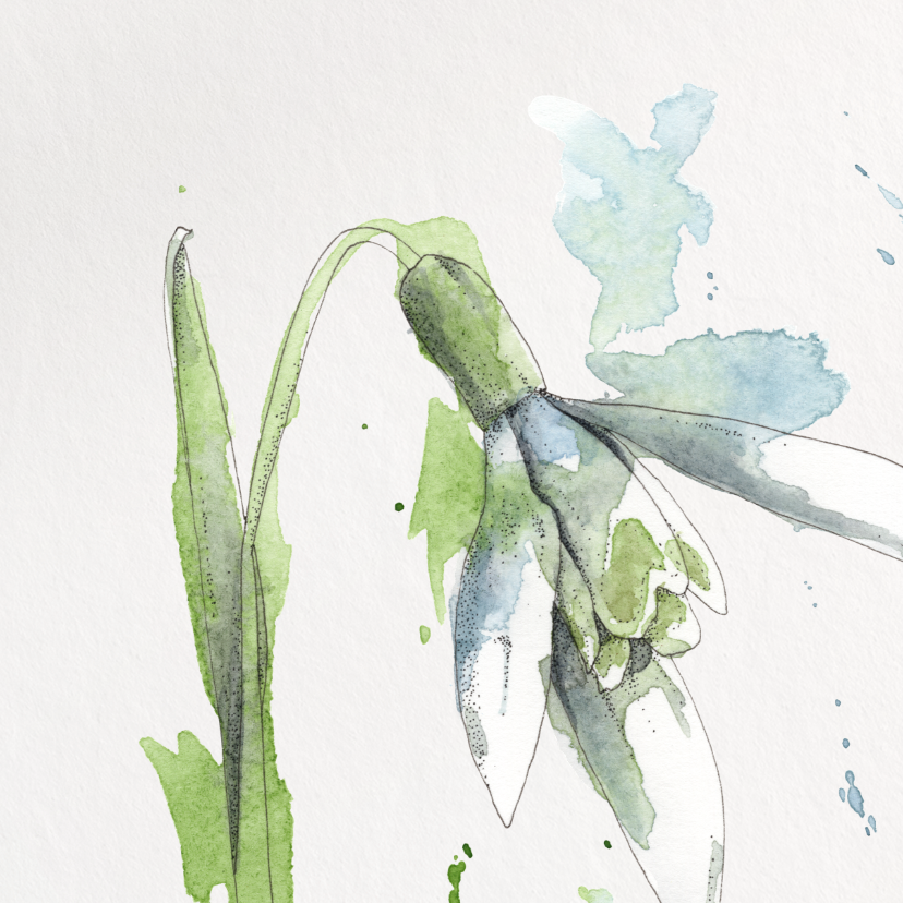 Framed artwork of a green plant with blue flowers on a white background