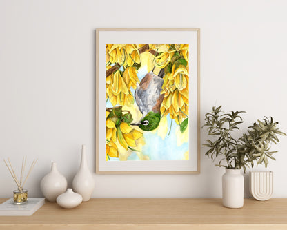 Tauhou in the Kōwhai Print