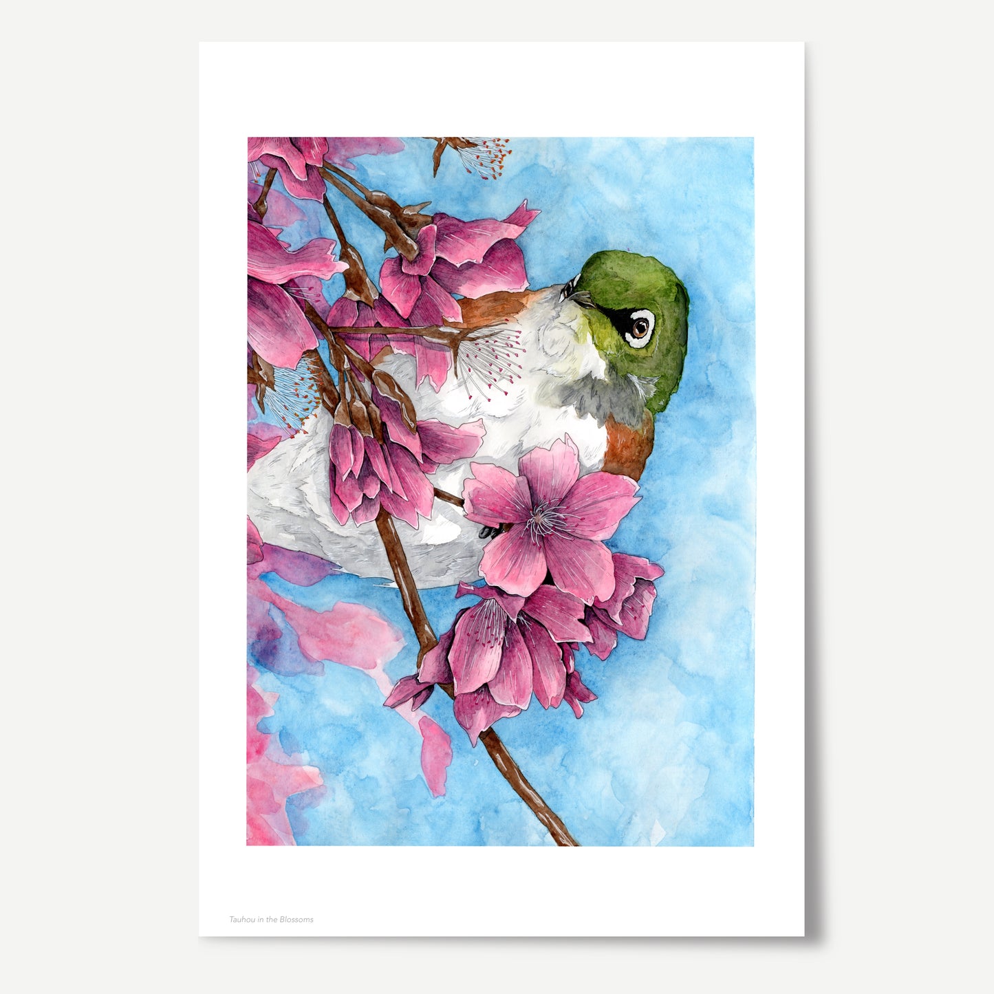 Tauhou in the Blossoms Print
