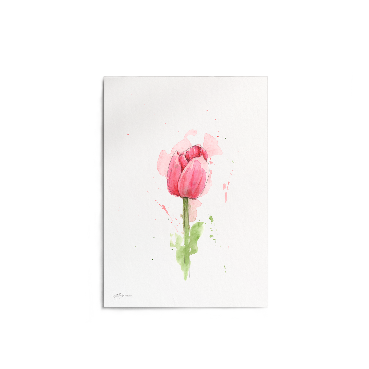 "Tulip" Print