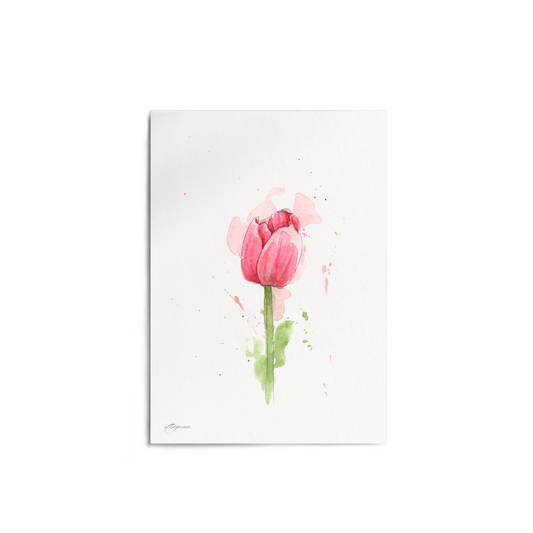 "Tulip" Print