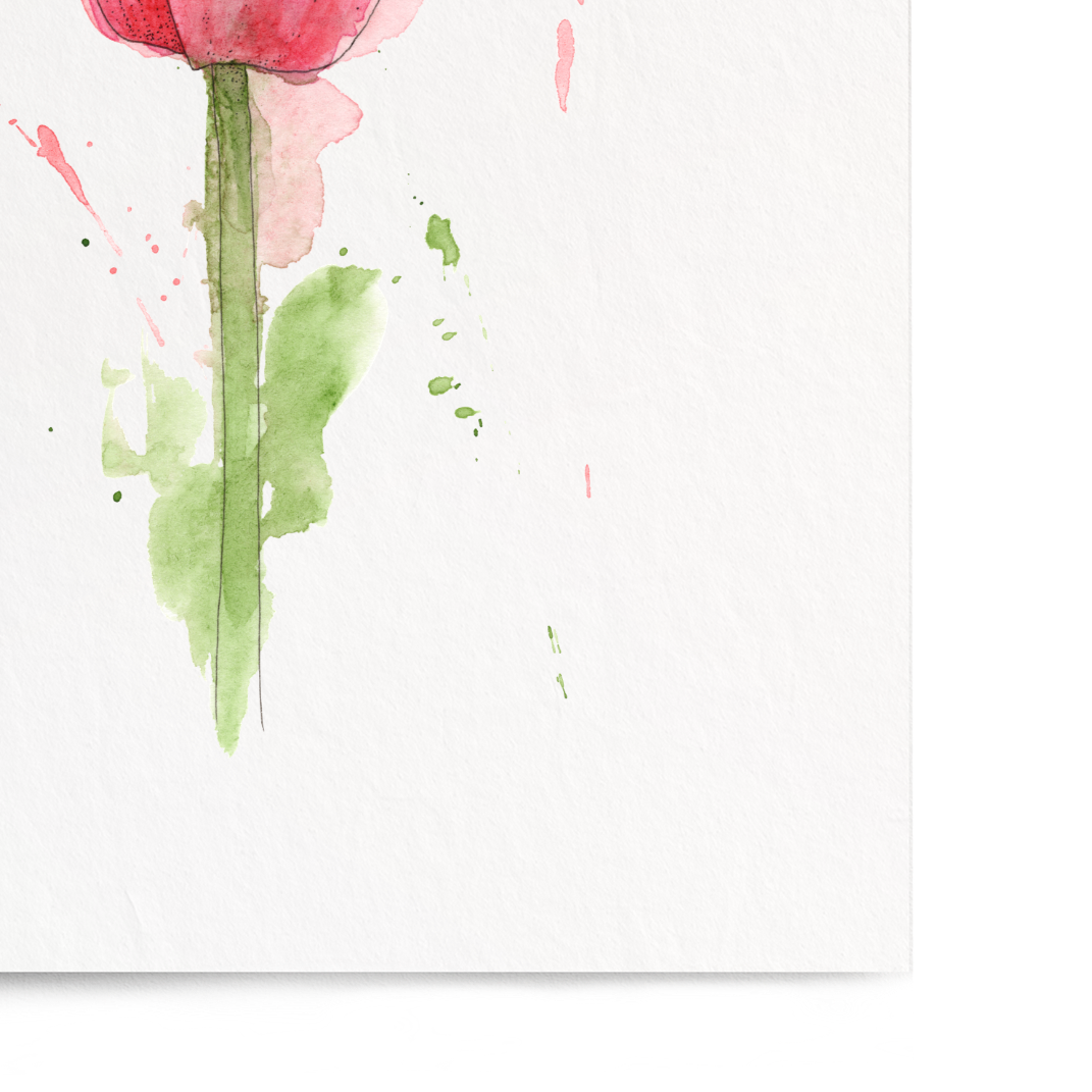 Pink tulip painting on a white background