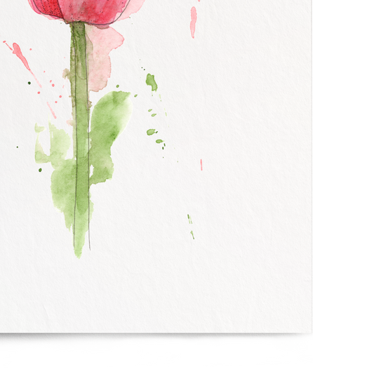 Pink tulip painting on a white background