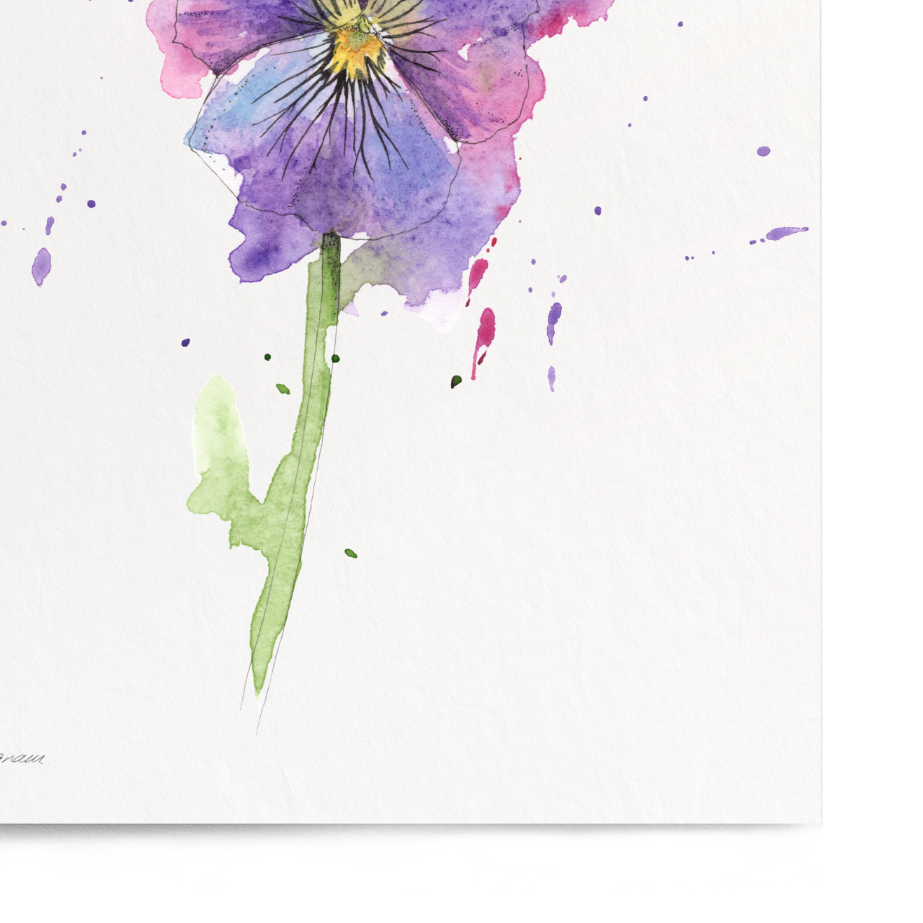 Watercolor painting of a purple flower on a white background