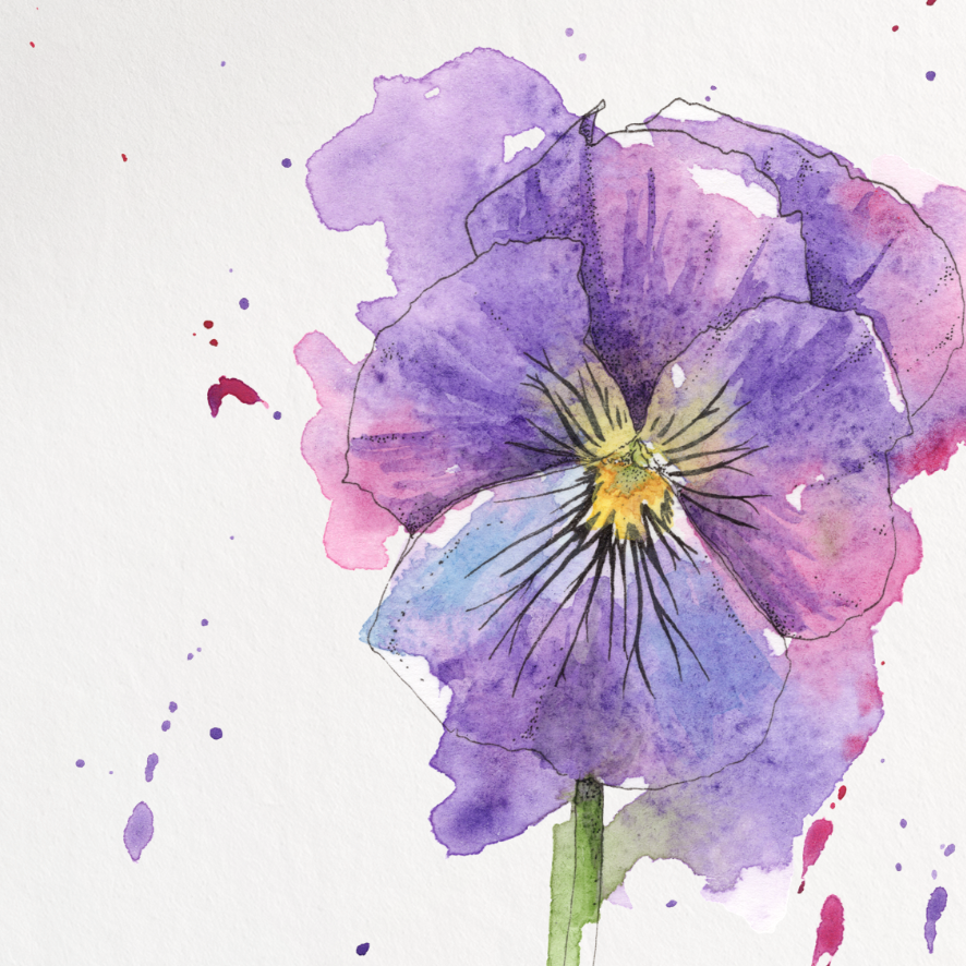 Watercolor painting of a purple flower on a white background