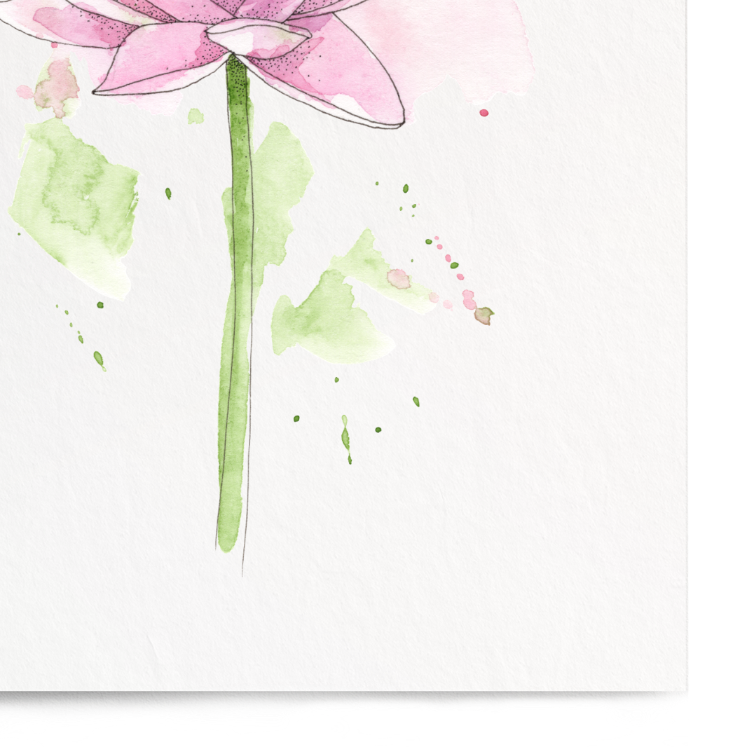 Pink flower illustration on a white background