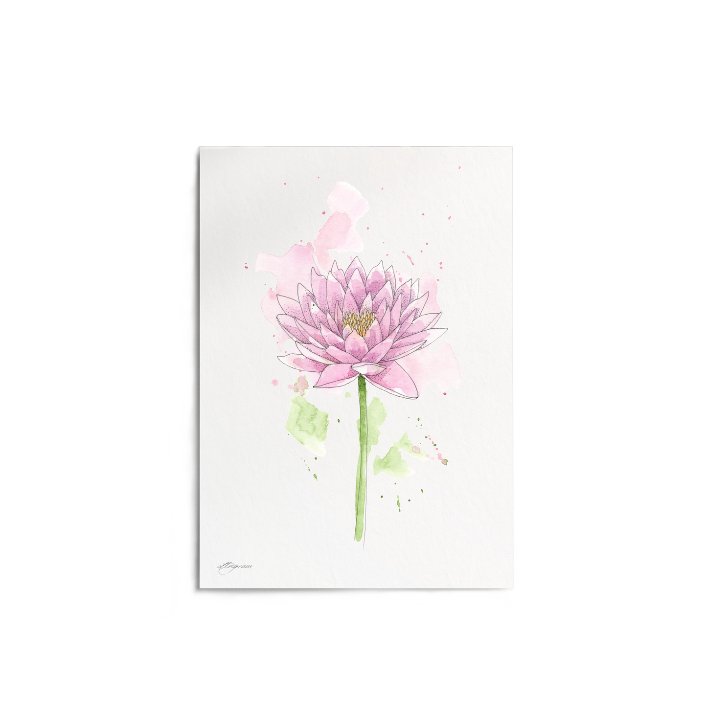 "Water Lily" Print