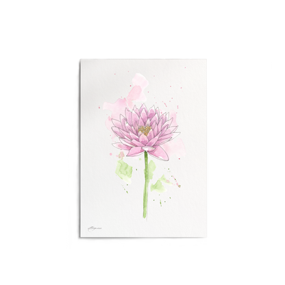 "Water Lily" Print