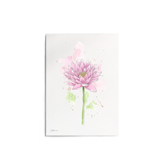 "Water Lily" Print