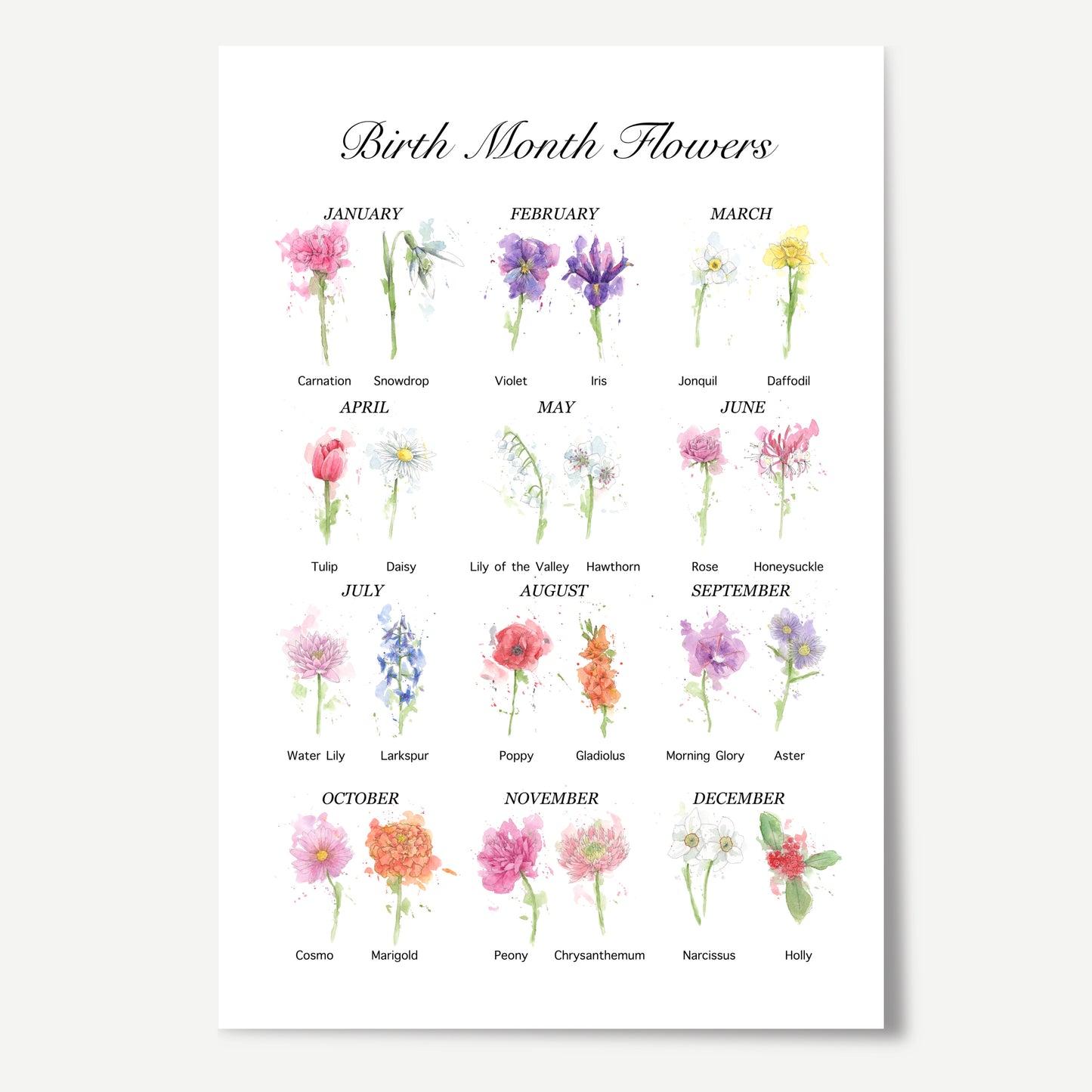 Your Guide to Birth Month Flowers Print