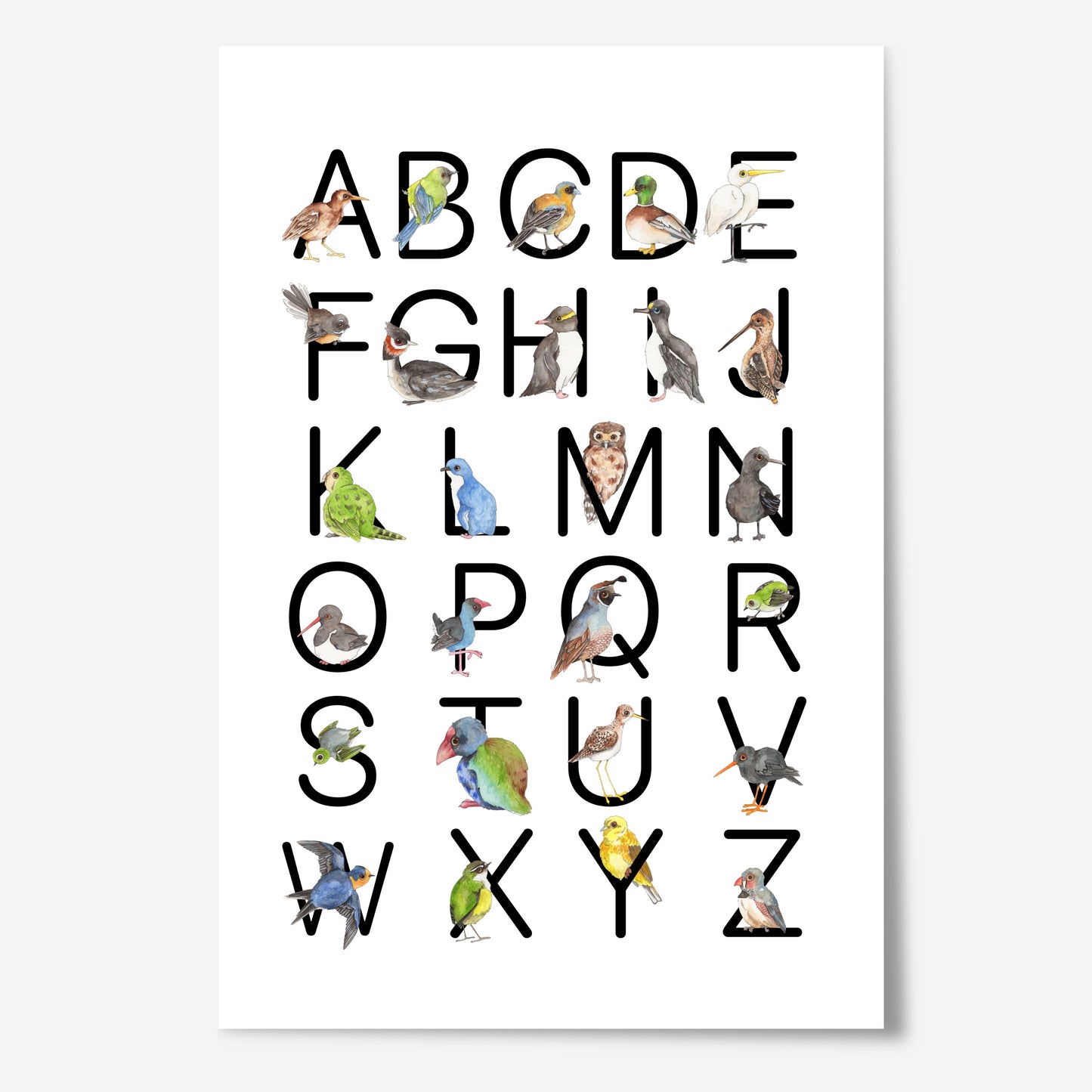 New Zealand Birds ABC Print