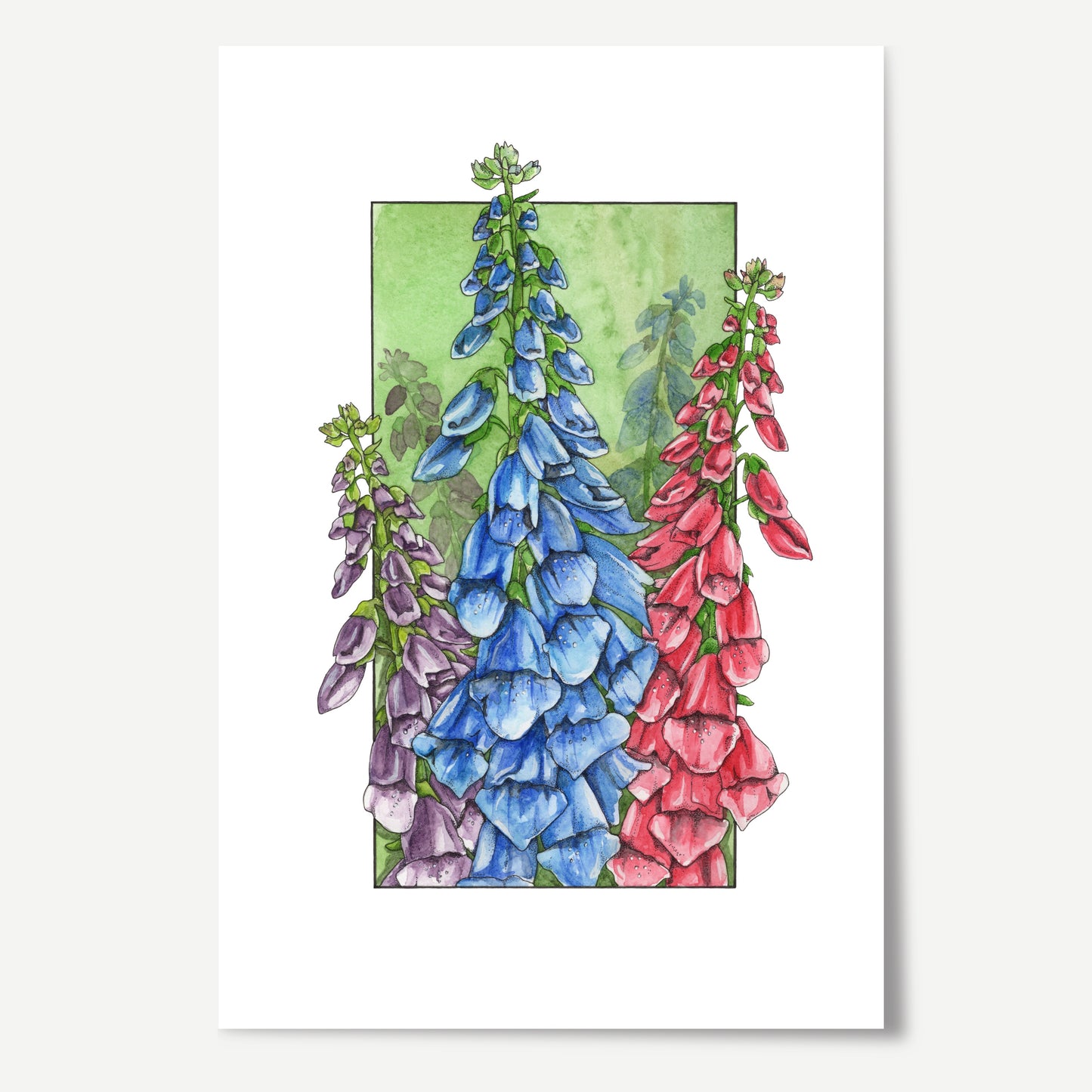 Foxgloves Print