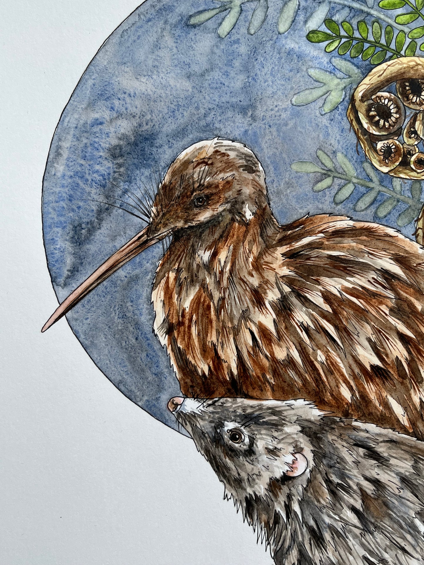 Kiwi & Hedgehog Original