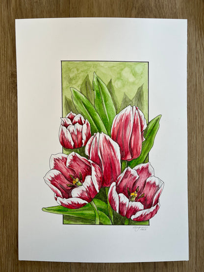 Tulips Original
