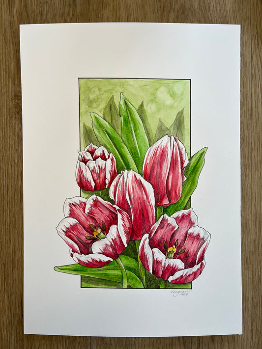 Tulips Original