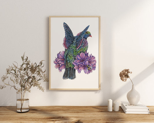 Kererū on Rhododendron Print