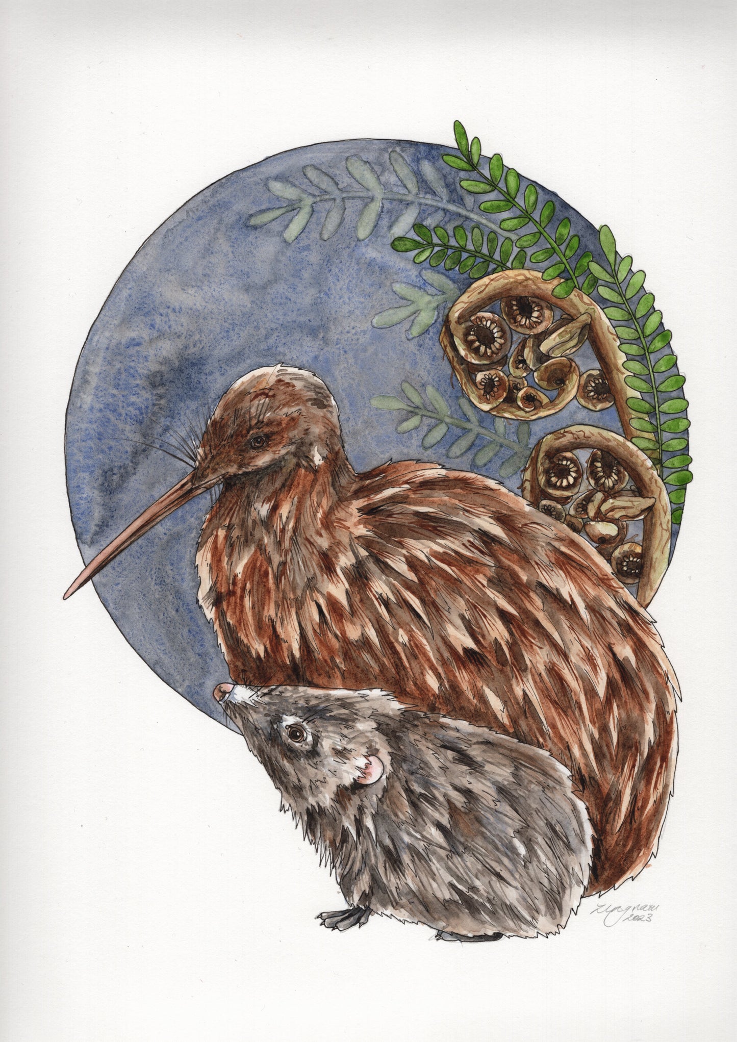 Kiwi & Hedgehog Original