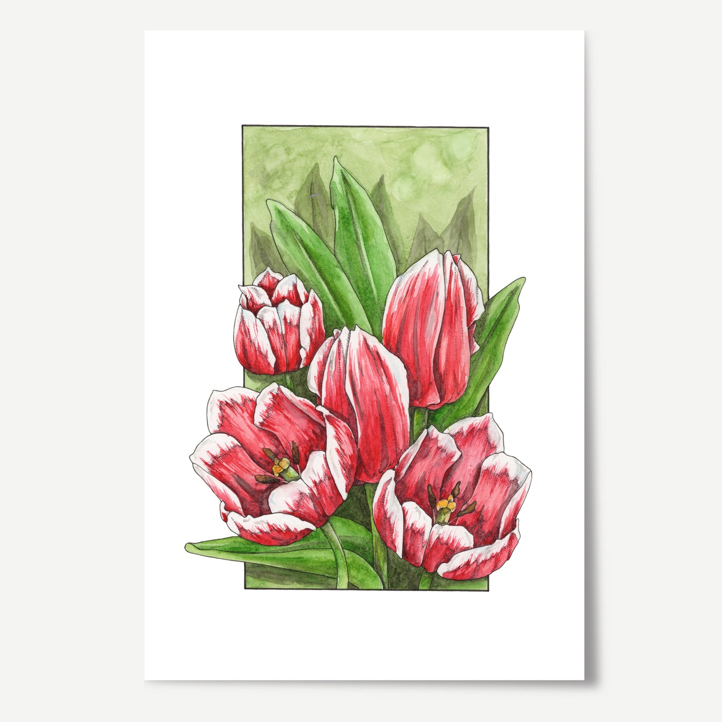 Tulip Print