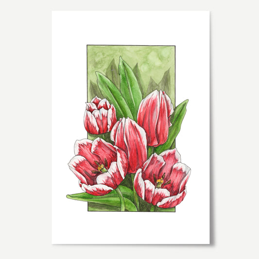 Tulip Print
