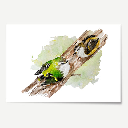 Rifleman Courting Limited Edition Print