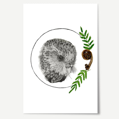 Kākāpō Limited Edition Print
