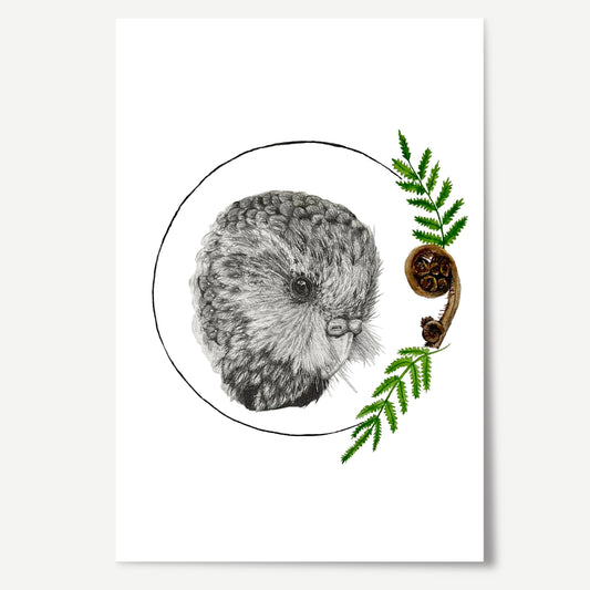 Kākāpō Limited Edition Print